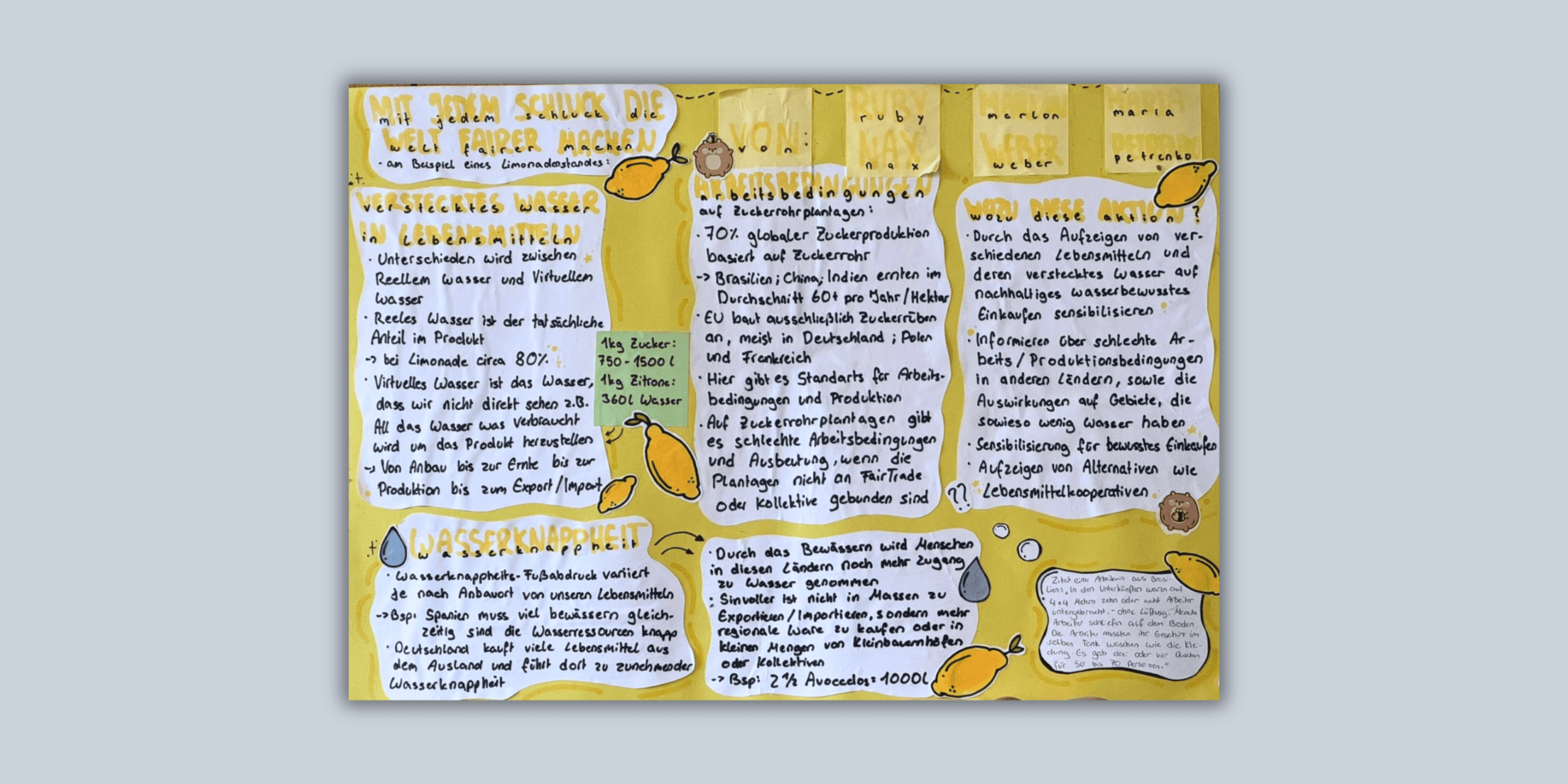 Wasserverbrauch Zitronen-Limo, Projekt DJA Pfalz