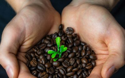 Fairer Handel oder falsche Versprechen? Entwicklungszusammenarbeit auf dem Prüfstand