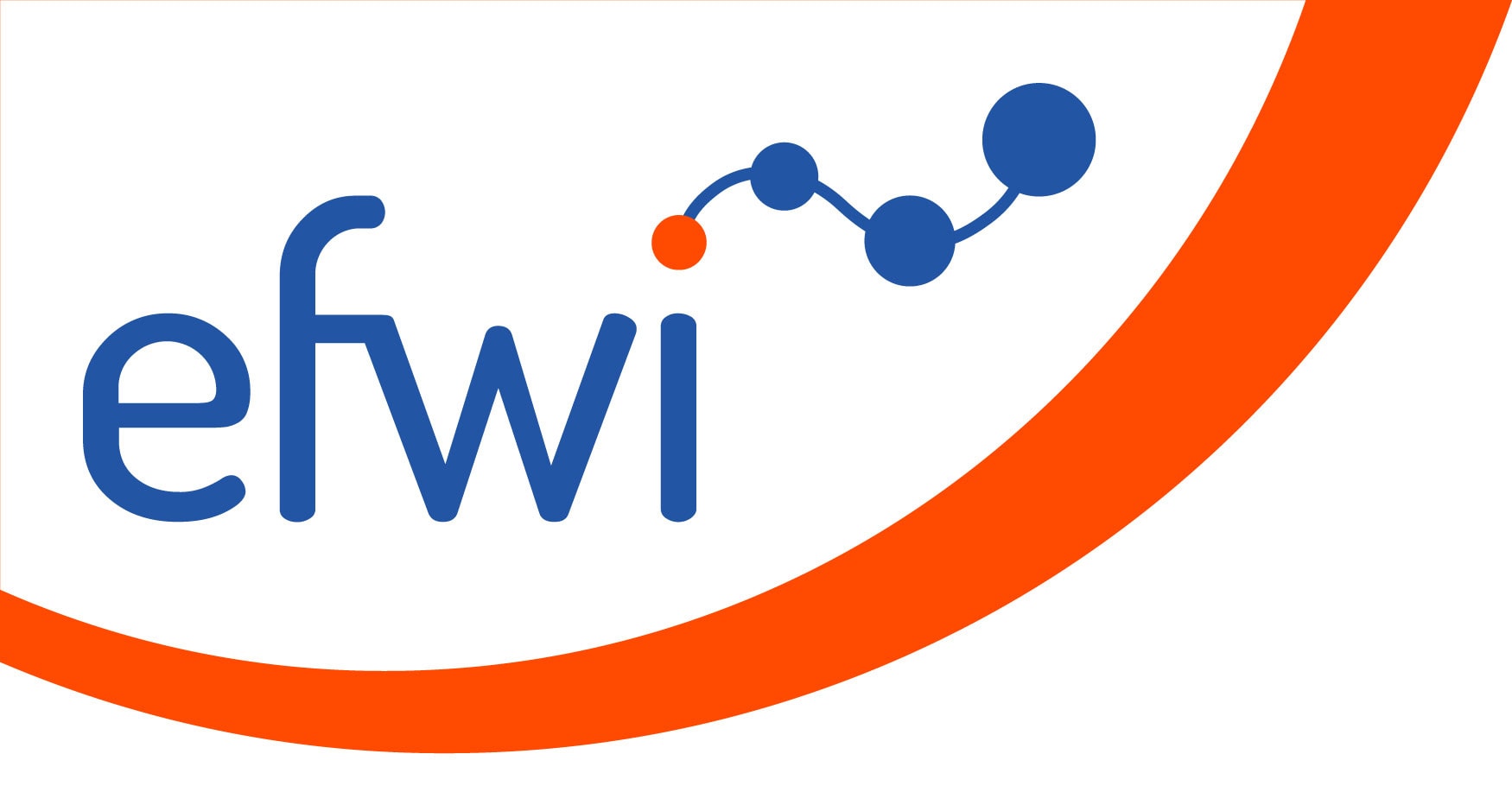 efwi Logo der onsulting Akademie Unternehmensethik gemeinnützige UG