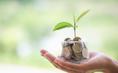 It`s the economy, stupid! Eine Einführung in Wirtschaft und Ethik