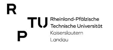 Logo der Universität Kaiserslautern mit dem Zusatz Lehrstuhl für Unternehmensrechnung und Controlling